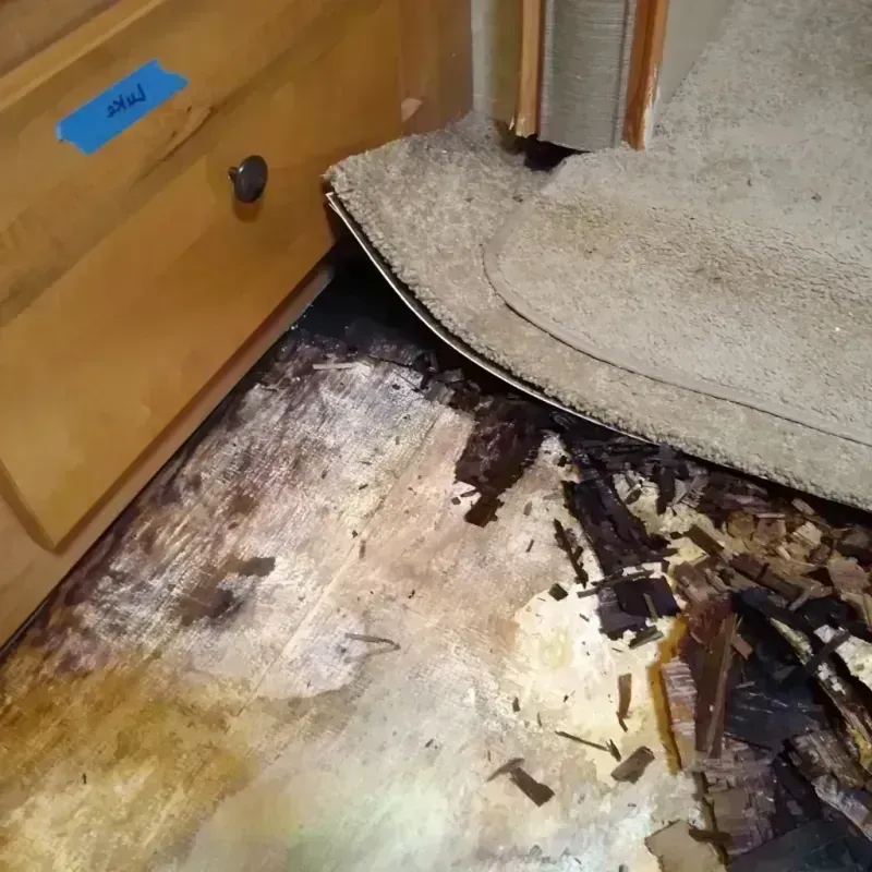 Wood Floor Water Damage in Roswell, NM